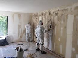 Trusted Gothenburg, NE Mold Removal Experts